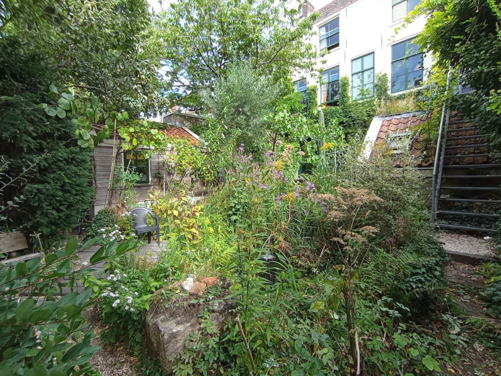 Boothstraat 8, Strowis