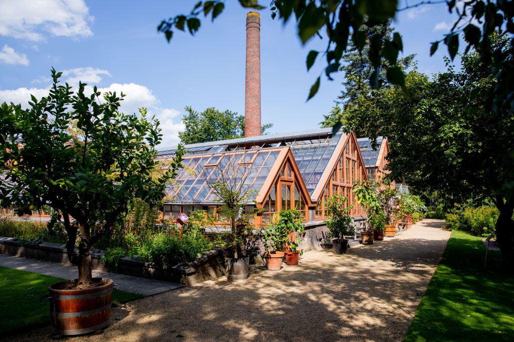 Lange Nieuwstraat 106, De Oude Hortus