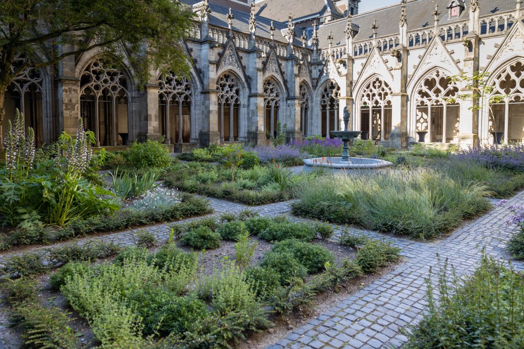 Domplein, Pandhof van de Dom