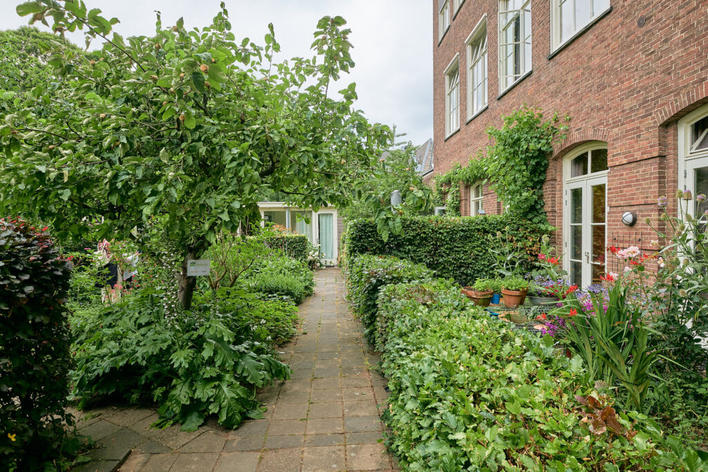 Nieuwekamp 11, Maria in de Wijngaard
