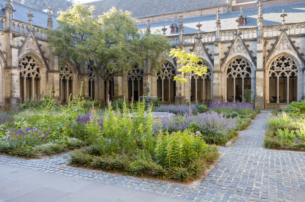 Domplein, Pandhof van de Dom