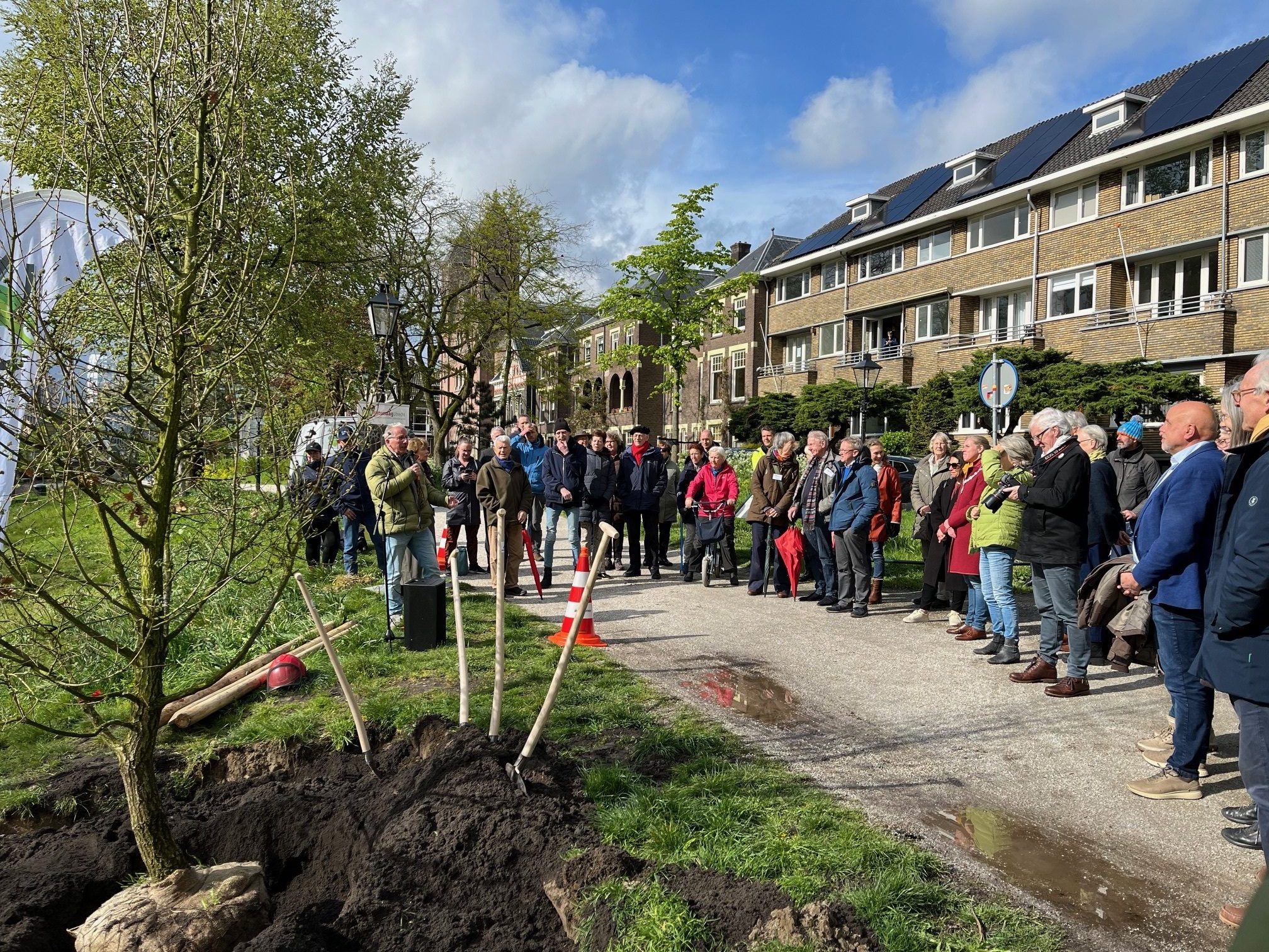 Eik voor Willemsplantsoen