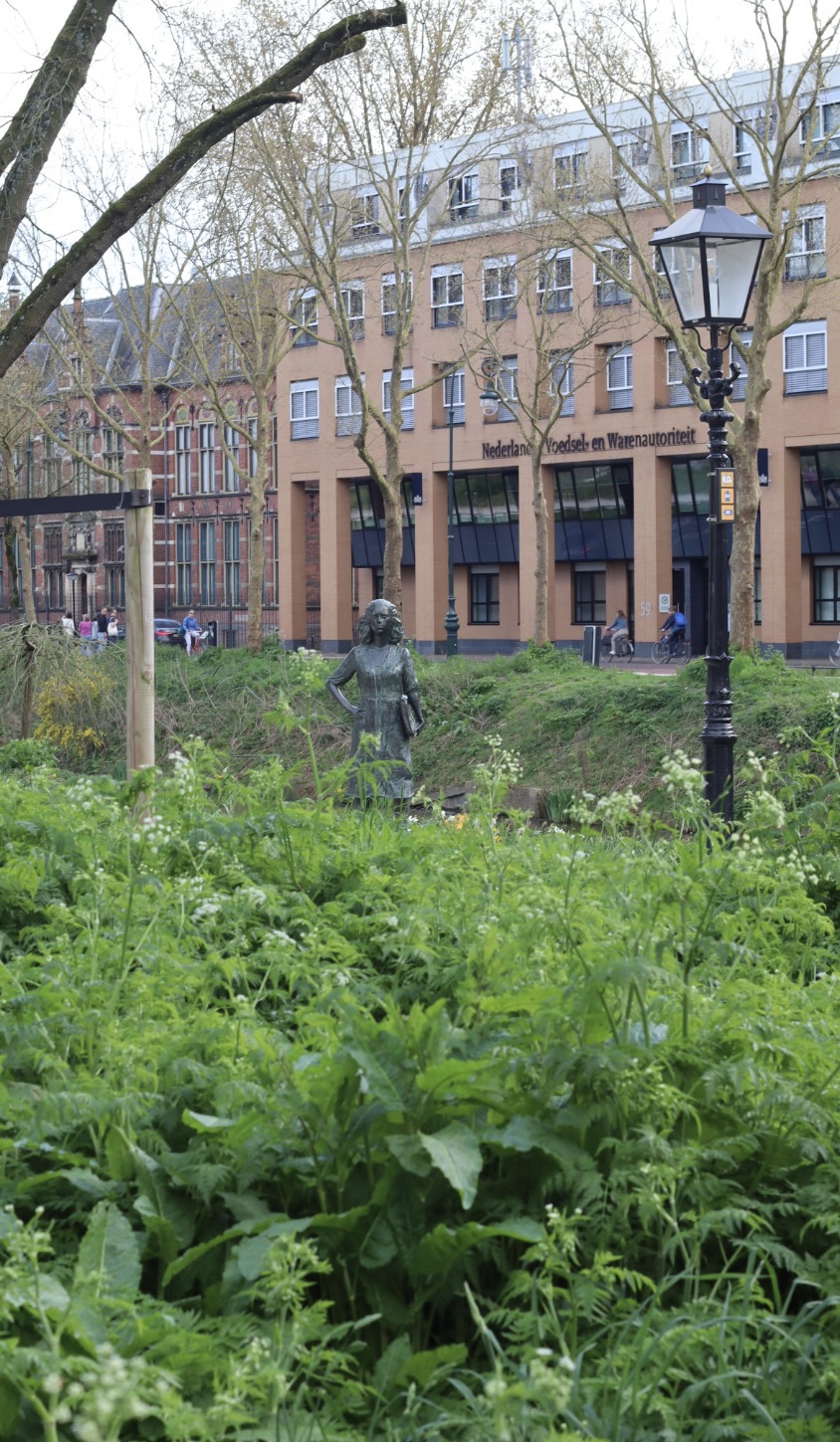 Burgemeester Sharon Dijksma plant eik nabij Willemsplantsoen