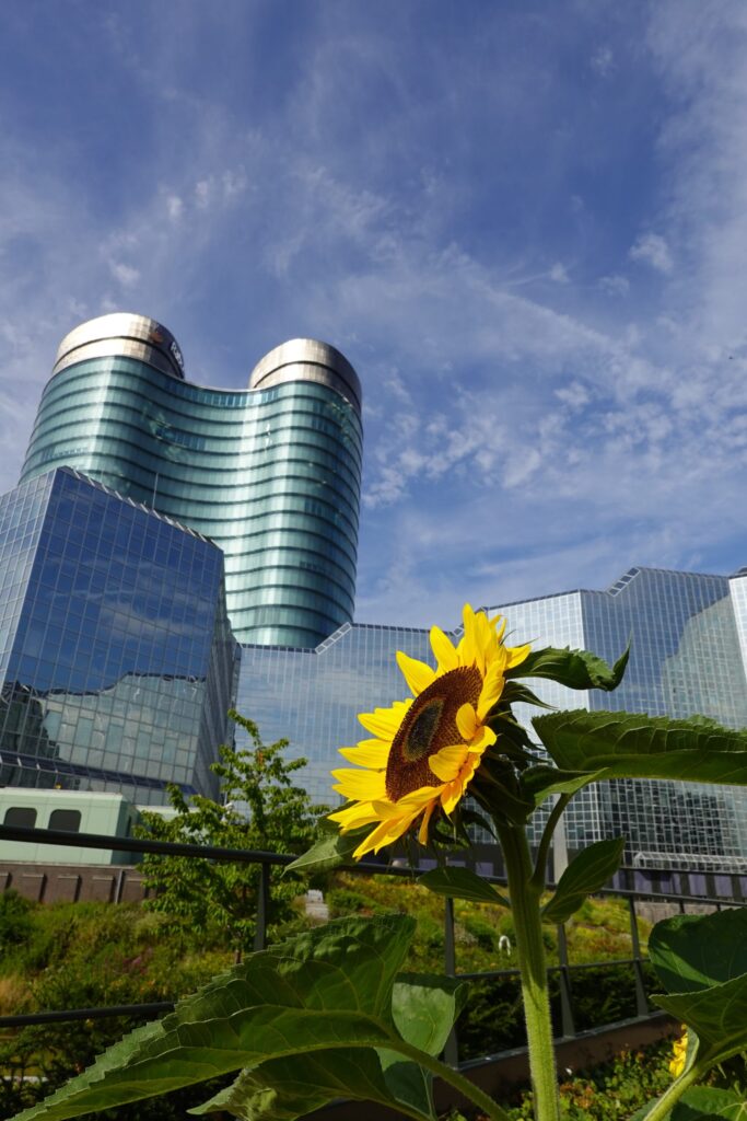 Croeselaan 18, Hoofdkantoor Rabobank